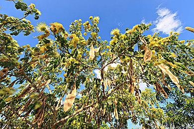 《火焰纹章：结合》DLC第三弹纹章士介绍影片公开