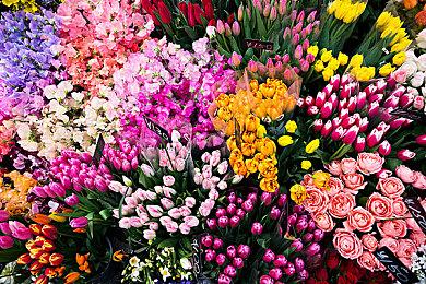 《辐射3》光照大修MOD 建筑物内部效果更加出色